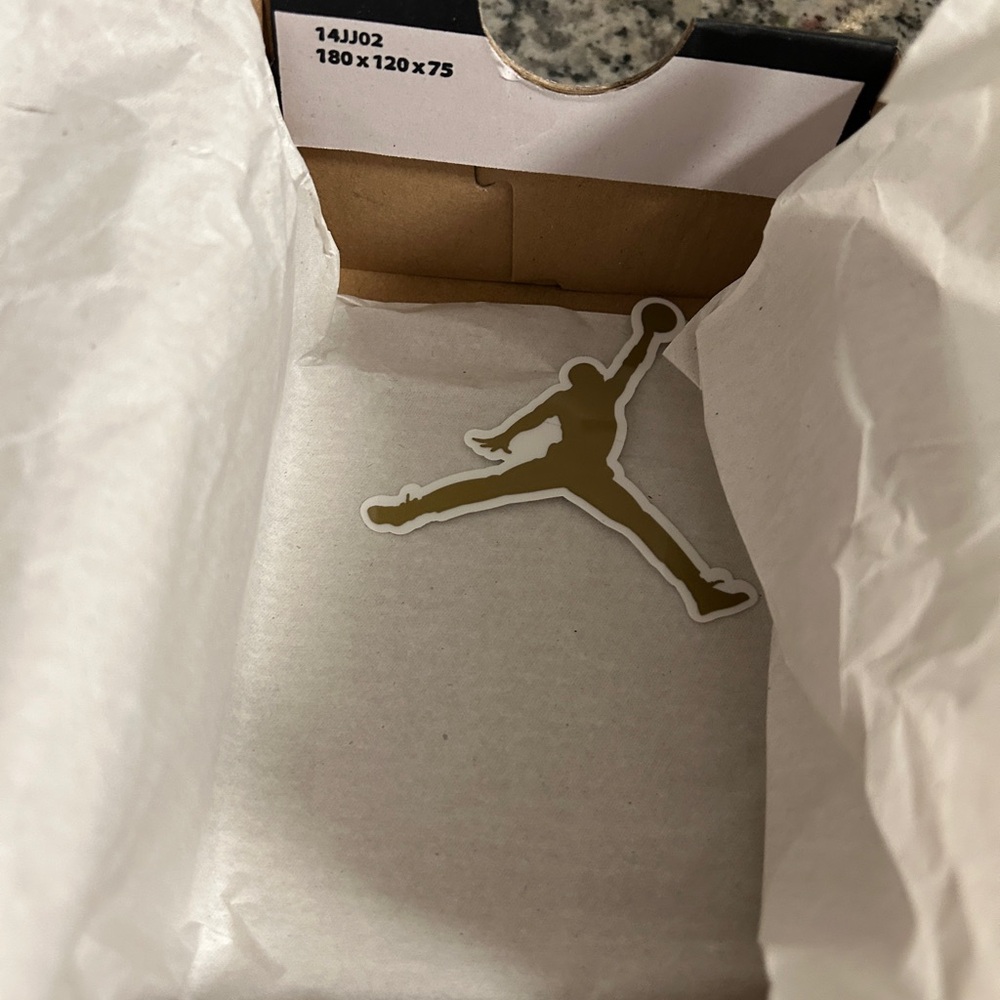 Jordan 1 Retro High OG (TD) - Black/White-White NIB. Never even tried on. - Picture 10 of 11